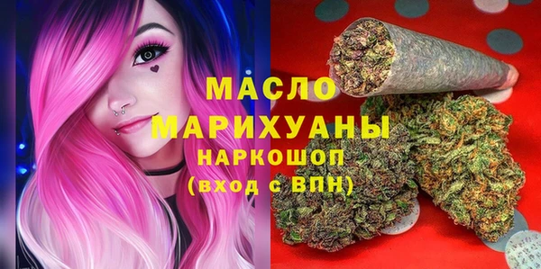 прущие грибы Лабытнанги