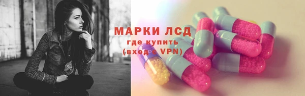 прущие грибы Лабытнанги