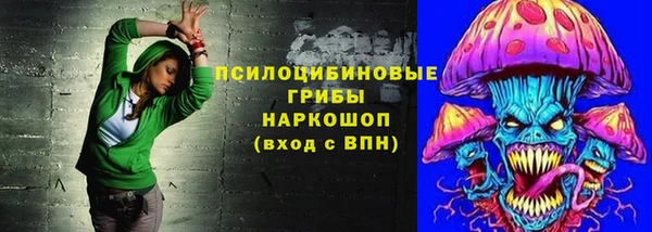 прущие грибы Лабытнанги