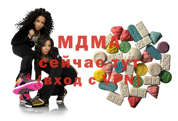 прущие грибы Лабытнанги