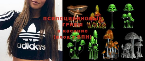 герыч Лагань