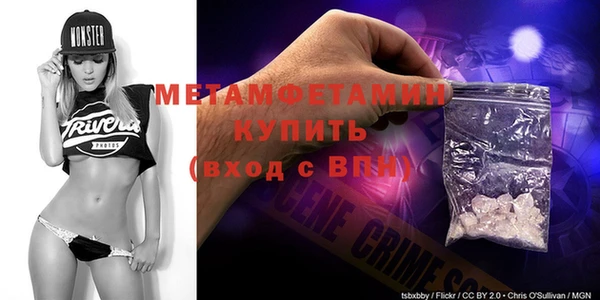 прущие грибы Лабытнанги