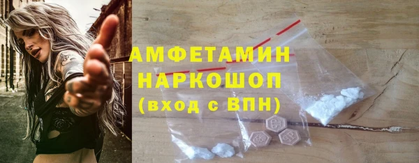 прущие грибы Лабытнанги