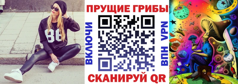 Галлюциногенные грибы прущие грибы  Купить закладки  Аша 